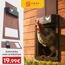 Naložite sliko v pregledovalnik galerije, AVTOMATSKA VRATA ZA KOKOŠNJAK